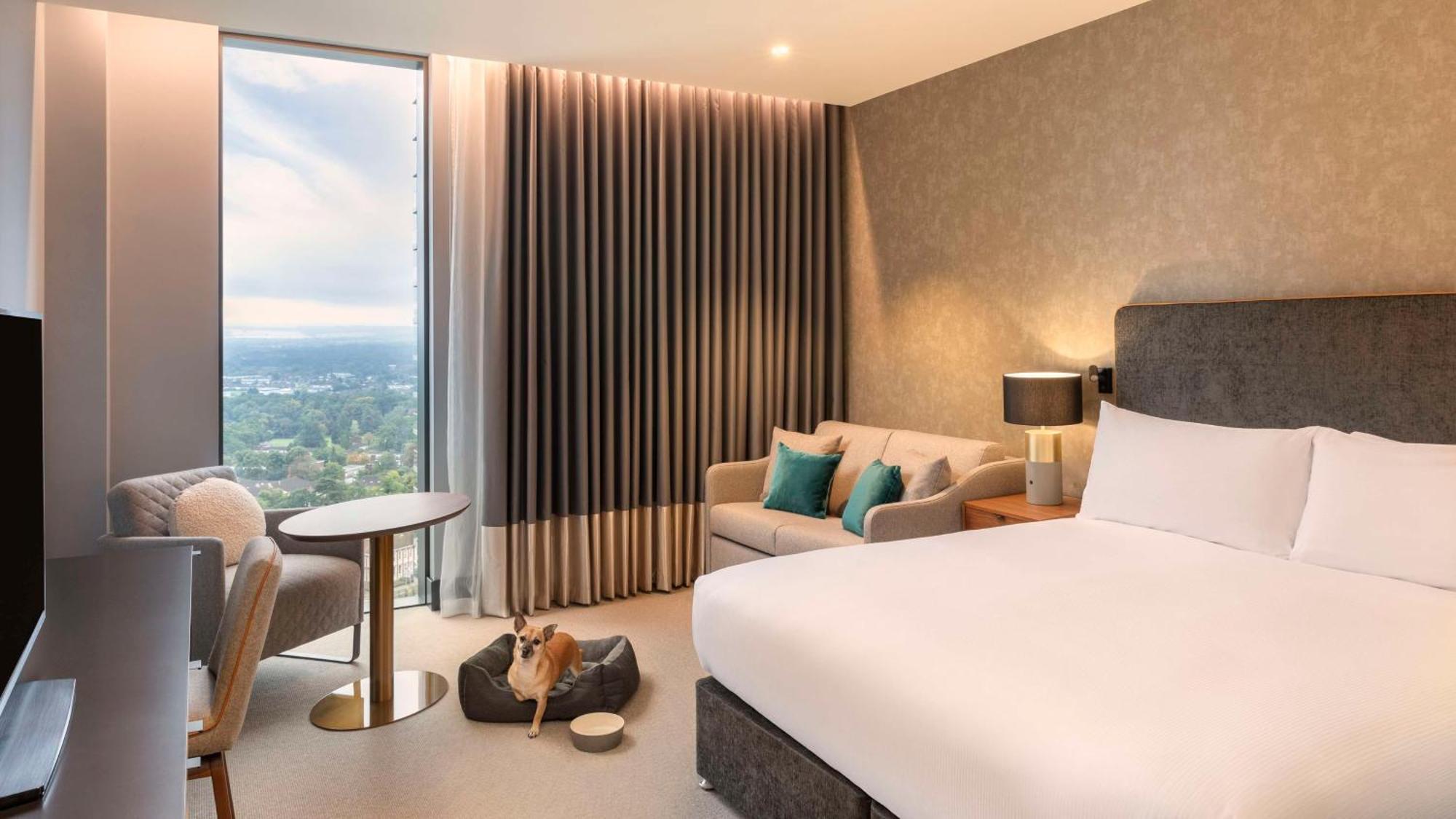 Hilton Woking Hotel Ngoại thất bức ảnh